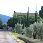 Agriturismo Il Vermigliaio Alberese Maremma foto ingresso