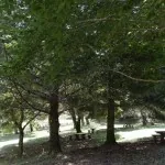 Parco attrezzato picnic Bagno di Cetica