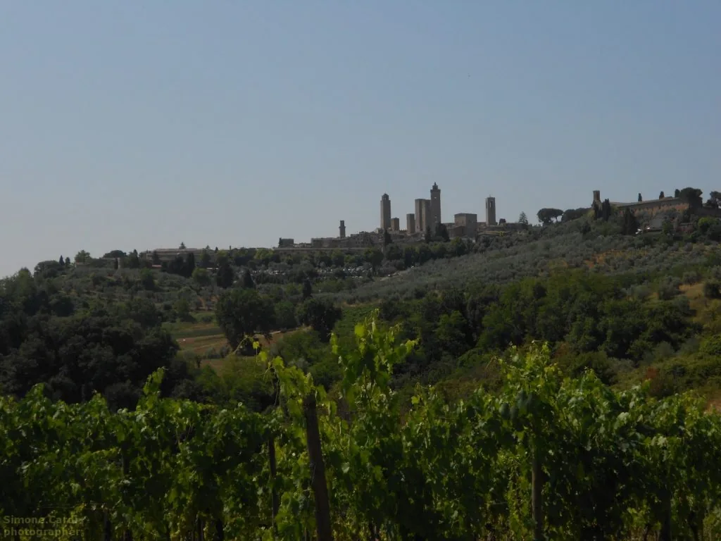 San Gimignano panorama