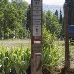 Sentiero 21 Poggio di Loro Rocca Ricciarda segnale CAI