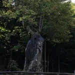 Madonna dell'Acero Corno alle Scale