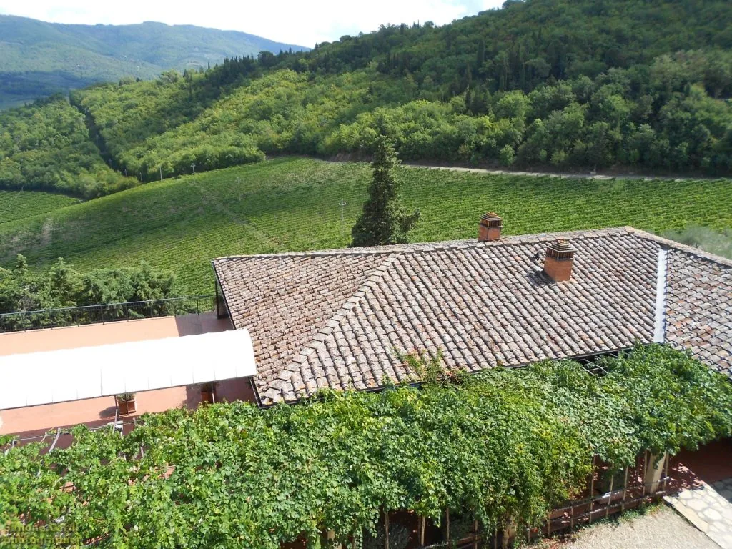 Castello di Verrazzano vigneti Chianti