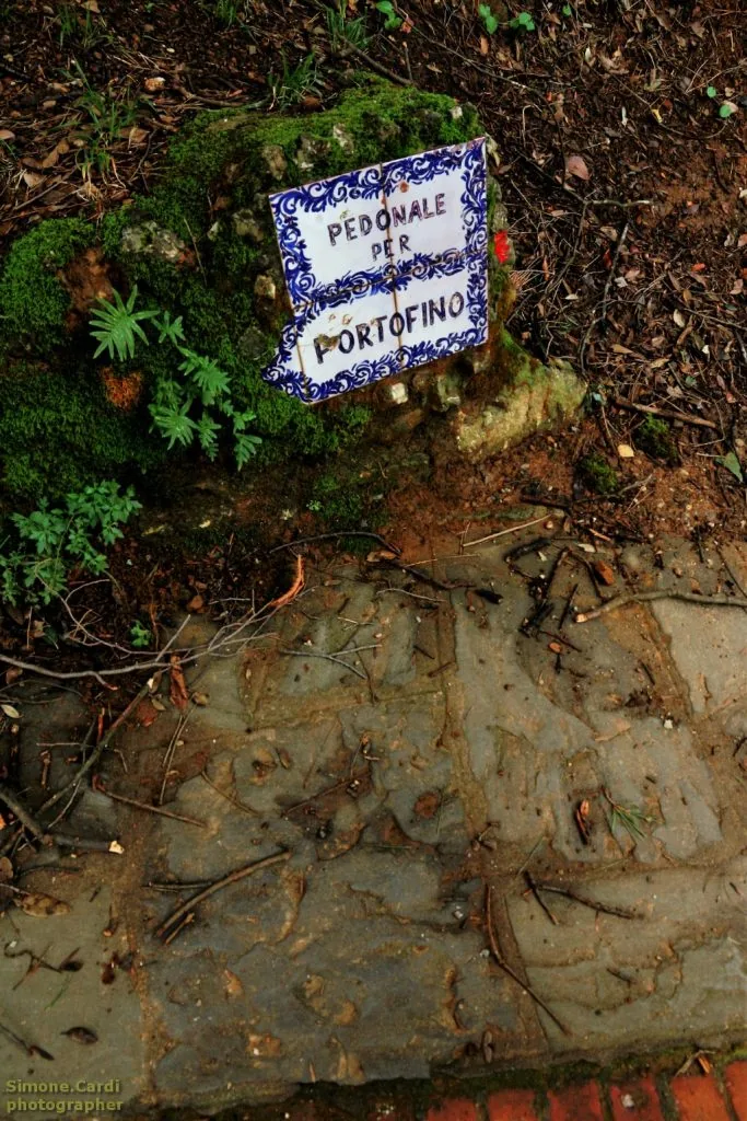 Percorso pedonale per Portofino da Paraggi