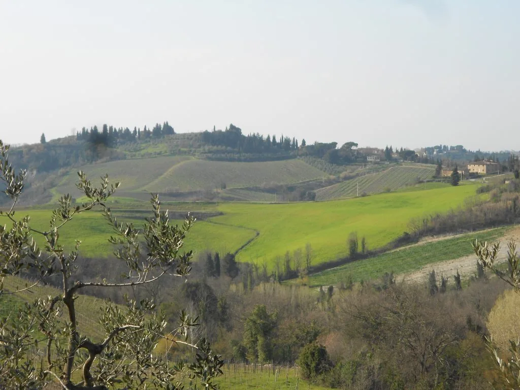 Collina Toscana zona Montespertoli primavera