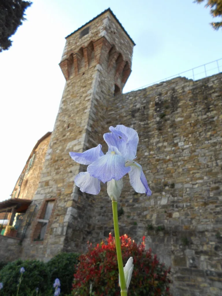 San Donato in Poggio le mura di cinta