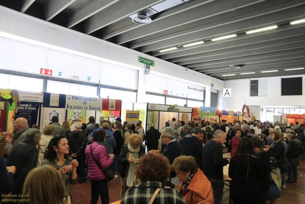 Salone delle Sagre MISEN Ferrara 2016