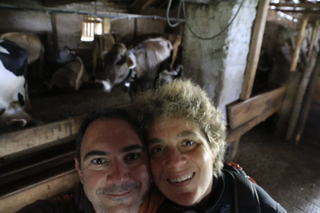 Beeontour adotta una mucca in Valsugana