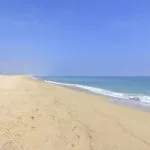 Portogallo, Parco Naturale di Ria Formosa: spiaggia Isola di Farol
