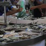 Olhao, Portogallo, mercato del pesce il pescato di giornata più fresco di Algarve