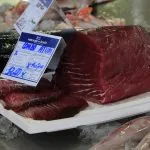 Olhao, Portogallo, mercato del pesce: tonno