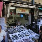 Oporto, Portogallo, Mercado Bolhao banco di pesce
