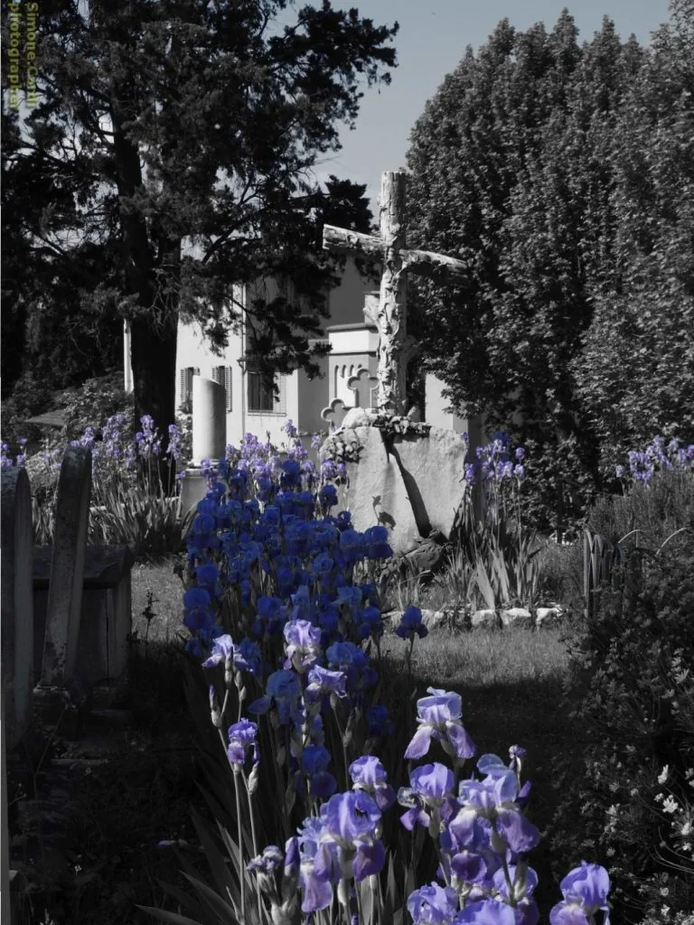 cimitero degli inglesi interni, Firenze