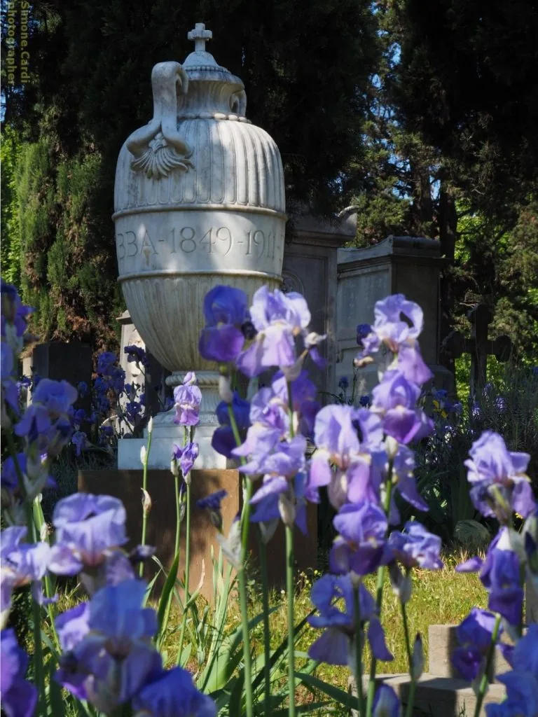 cimitero degli inglesi interno, Firenze