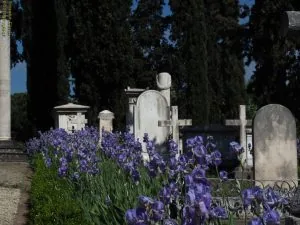 cimitero degli inglesi panoramica delle tombe, Firenze
