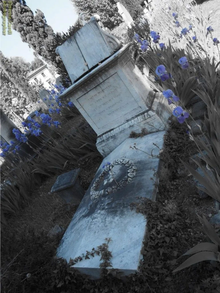 cimitero degli inglesi particolare tomba , Firenze