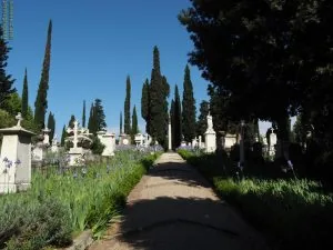 cimitero degli inglesi viale accesso, Firenze