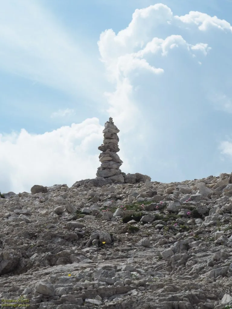 Pale di San Martino - composizione di sassi