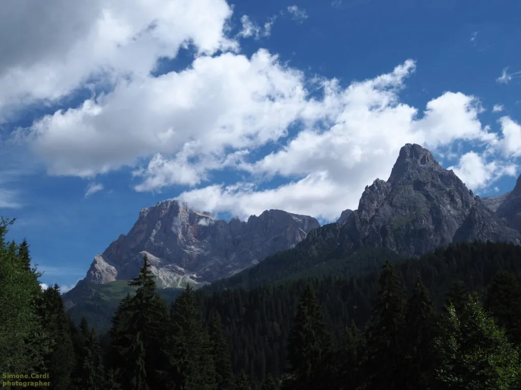 Pale di San Martino: cielo con nubi e bosco di abeti