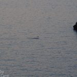 Tramonto Capo Caccia Alghero salto di tonno