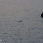 Tramonto Capo Caccia Alghero salto di tonno