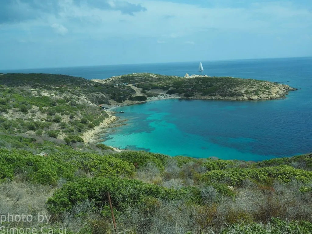 Sardegna, Isola Asinara, zona Cala d'Oliva