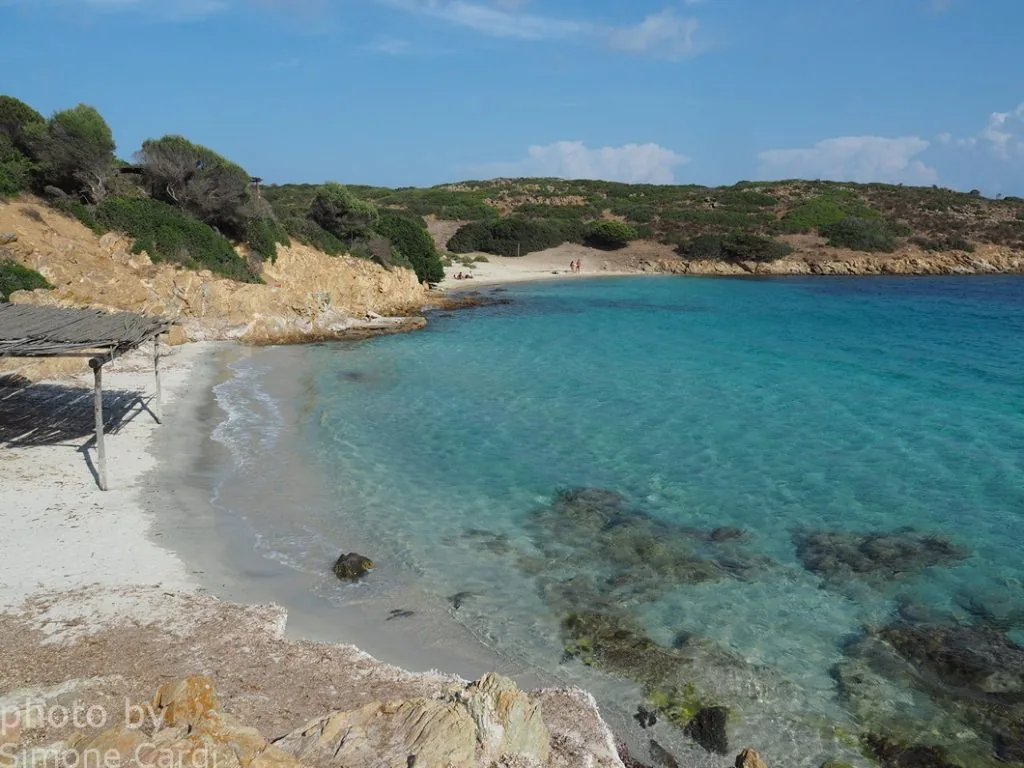 Cala Ponzesi, Isola dell'Asinara