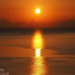 Alba, Isola Asinara
