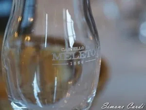 Calice degustazione Castello di Meleto