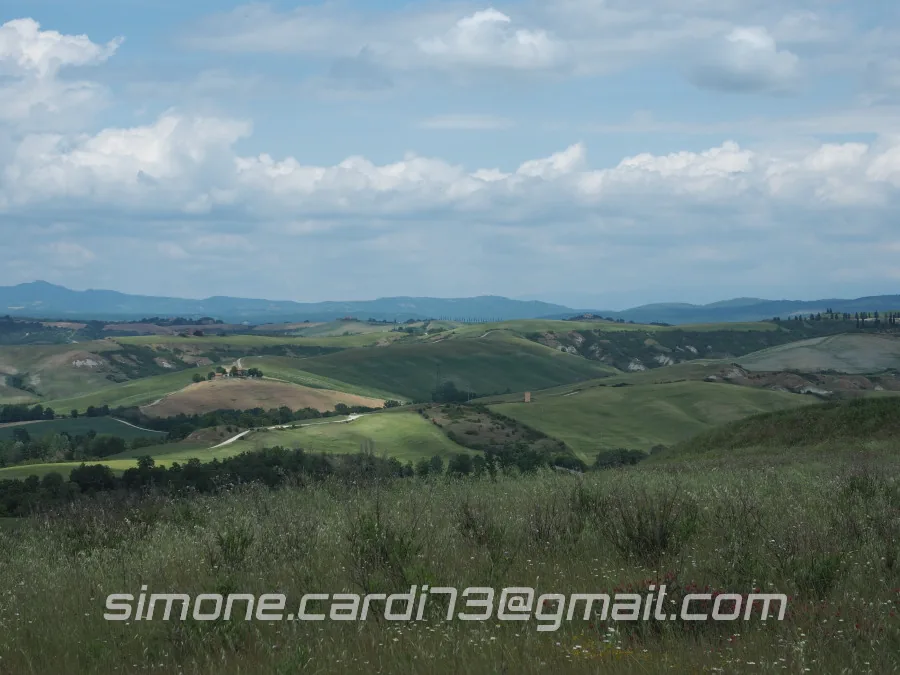 Crete senesi panorama in primavera