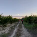 Simone Beeontour e Maurizio CEA a spasso tra i calanchi