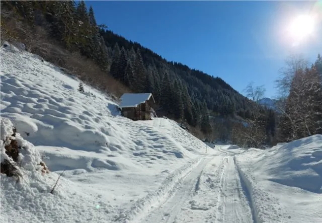 paesaggio innevato trekking san martino siror