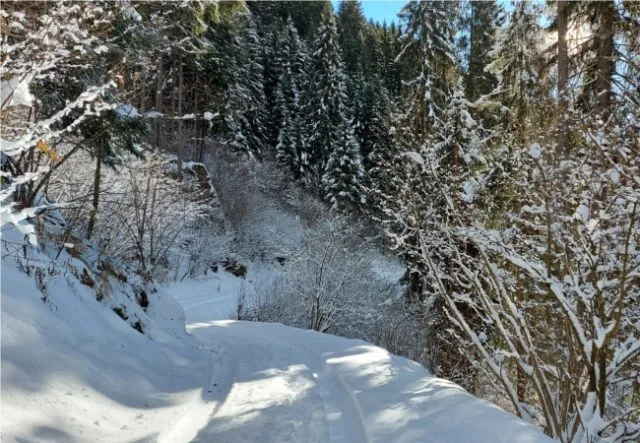 percorso carrabile innevato san martino siror