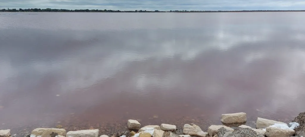 Acqua delle saline di Aigues Mortes, Francia
