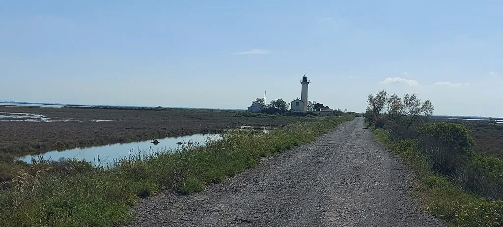phare de la gacholle