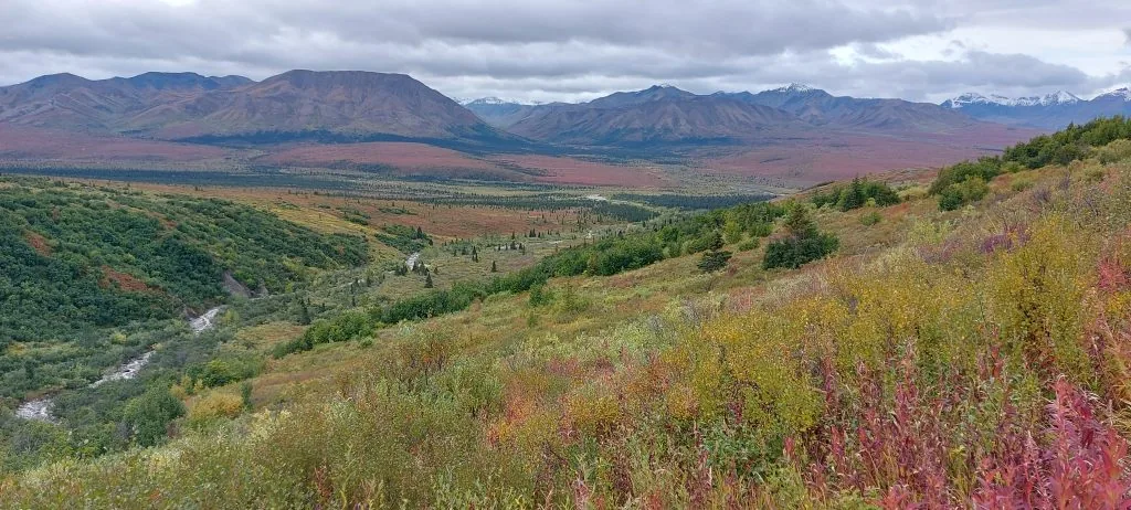 alpine trail denali NP
