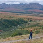 Denali National Park giro in camper in Alaska