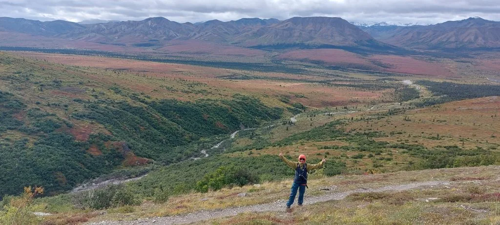 Alaska, USA, Denali National Park hiking