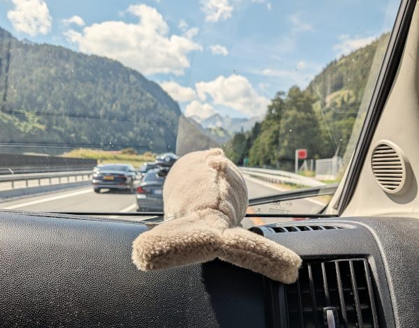 Europa Park e Alsazia in camper (con nipoti): costi e info utili