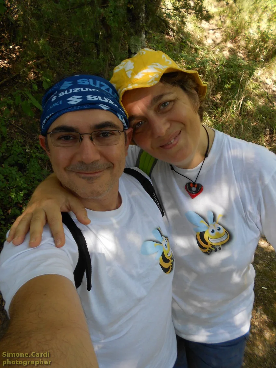 Le origini di Beeontour