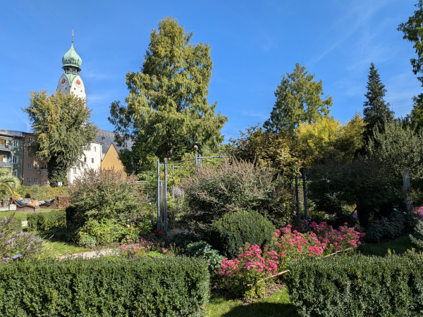 Giardino con rose e campanile chiesa di Rosenheim: giro in camper in Baviera
